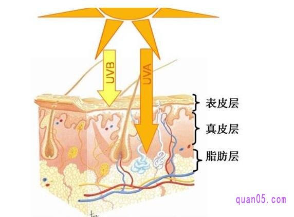 紫外线对人体会造成什么样的伤害