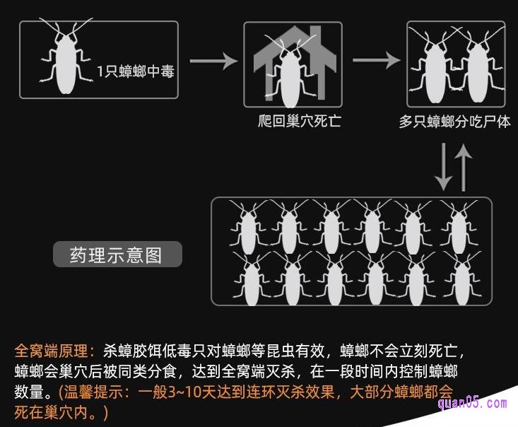 网上卖的蟑螂药怎么样