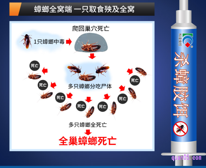 什么样的蟑螂药灭蟑效果好