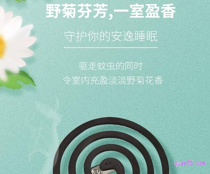 榄菊蚊香的特点