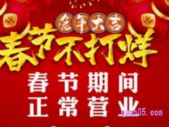 哪些淘宝店铺春节不打烊？