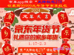 2024京东有没有年货节