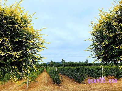 美团北京张裕爱斐堡酒庄【成人票】墨色山河精简版剧本杀套票198元