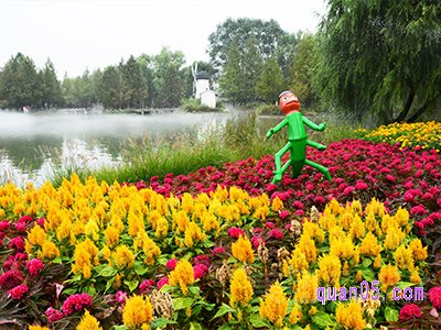 美团北京国际鲜花港【不限人群】马戏票（不含景区门票）24.9元