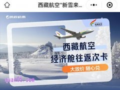 西藏航空经济舱往返次卡